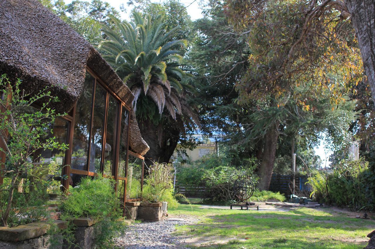 Santoral Restaurante Y Posada Pet Friendly Atlántida 外观 照片